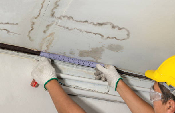 Reliable Mold Remediation contractor in Parker, AZ by Water Damage Irwin